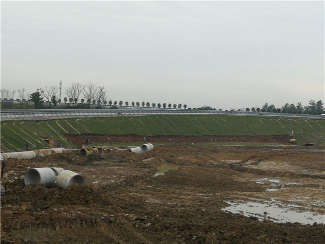 景南片區(qū)景觀生態(tài)綜合提升改造工程(二期)景南湖